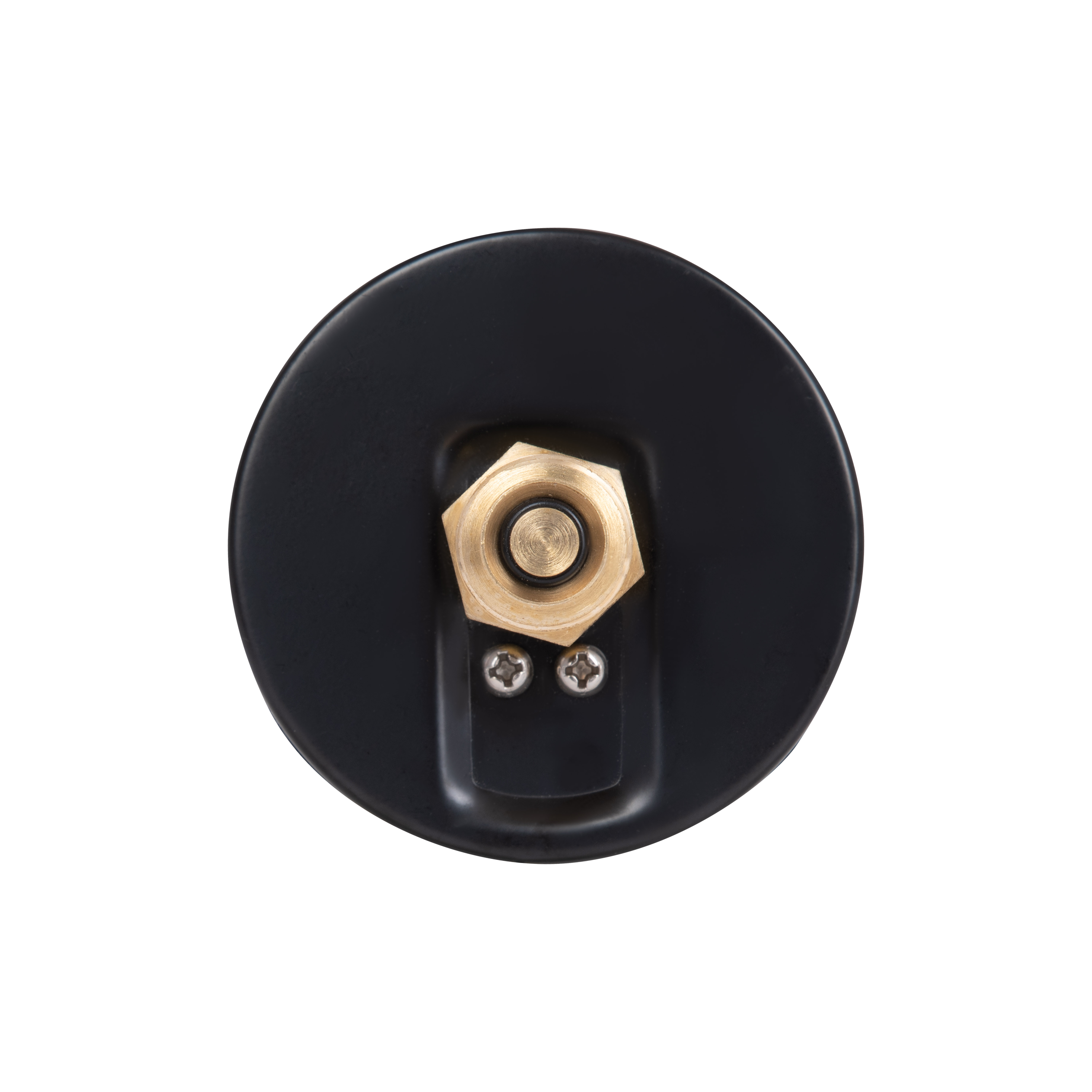 Термоманометр Thermo Alliance Standart 80 мм 1/2", заднє підключення SD17310B