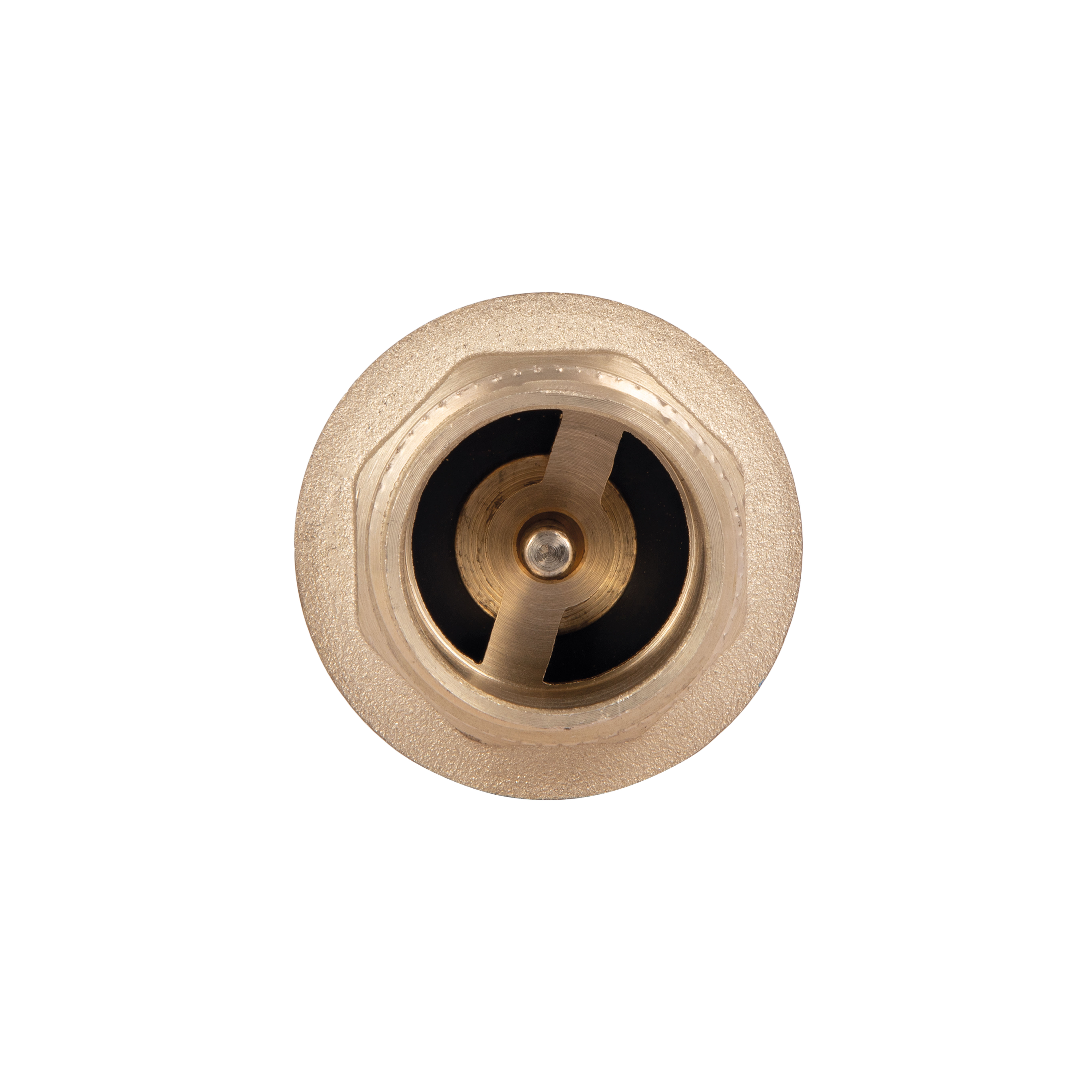 Клапан зворотний Thermo Alliance Standart 1"ВЗ із латунним штоком TAS248W25
