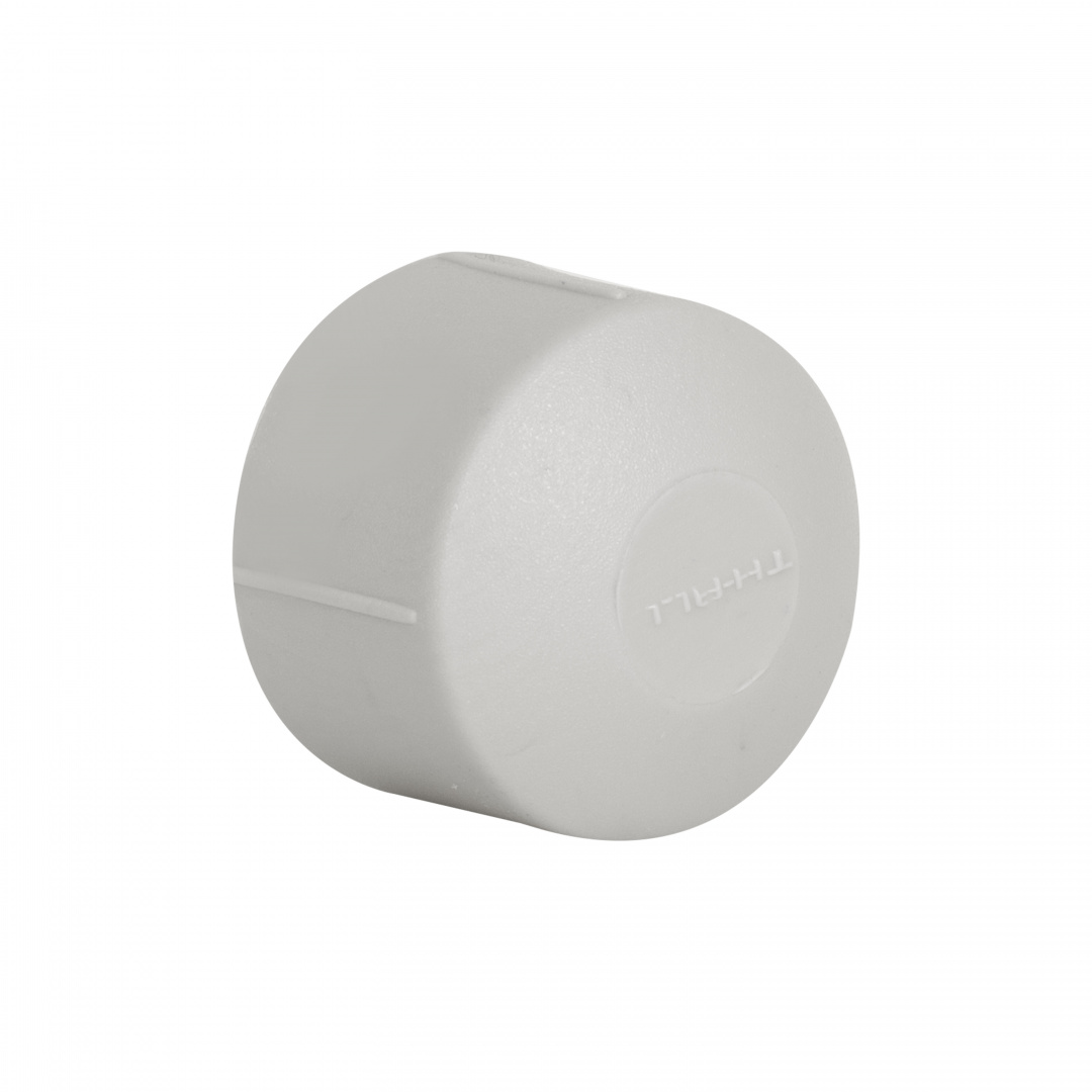 Заглушка PPR Thermo Alliance 25