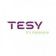 Tesy