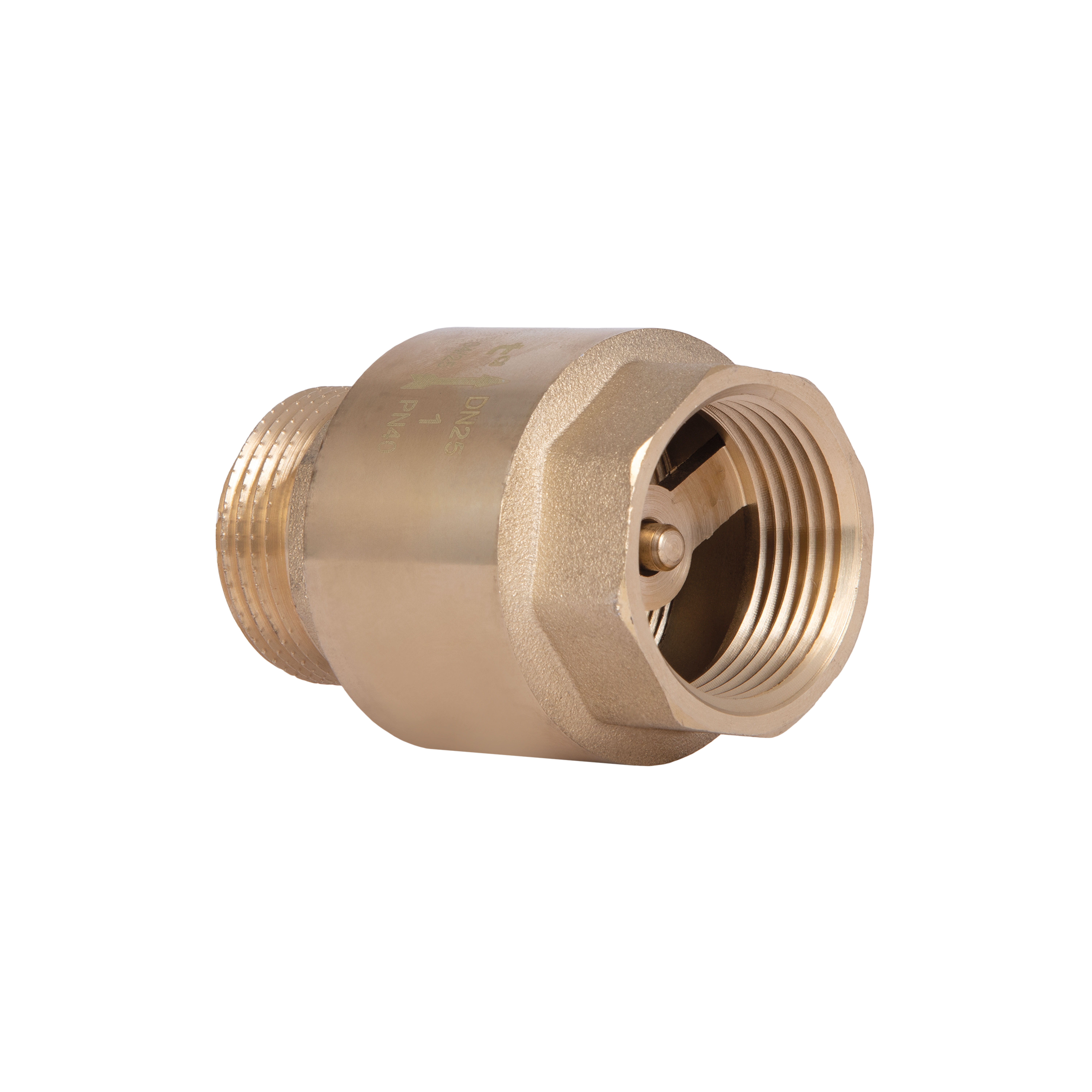 Клапан зворотний Thermo Alliance Standart 1"ВЗ із латунним штоком TAS248W25