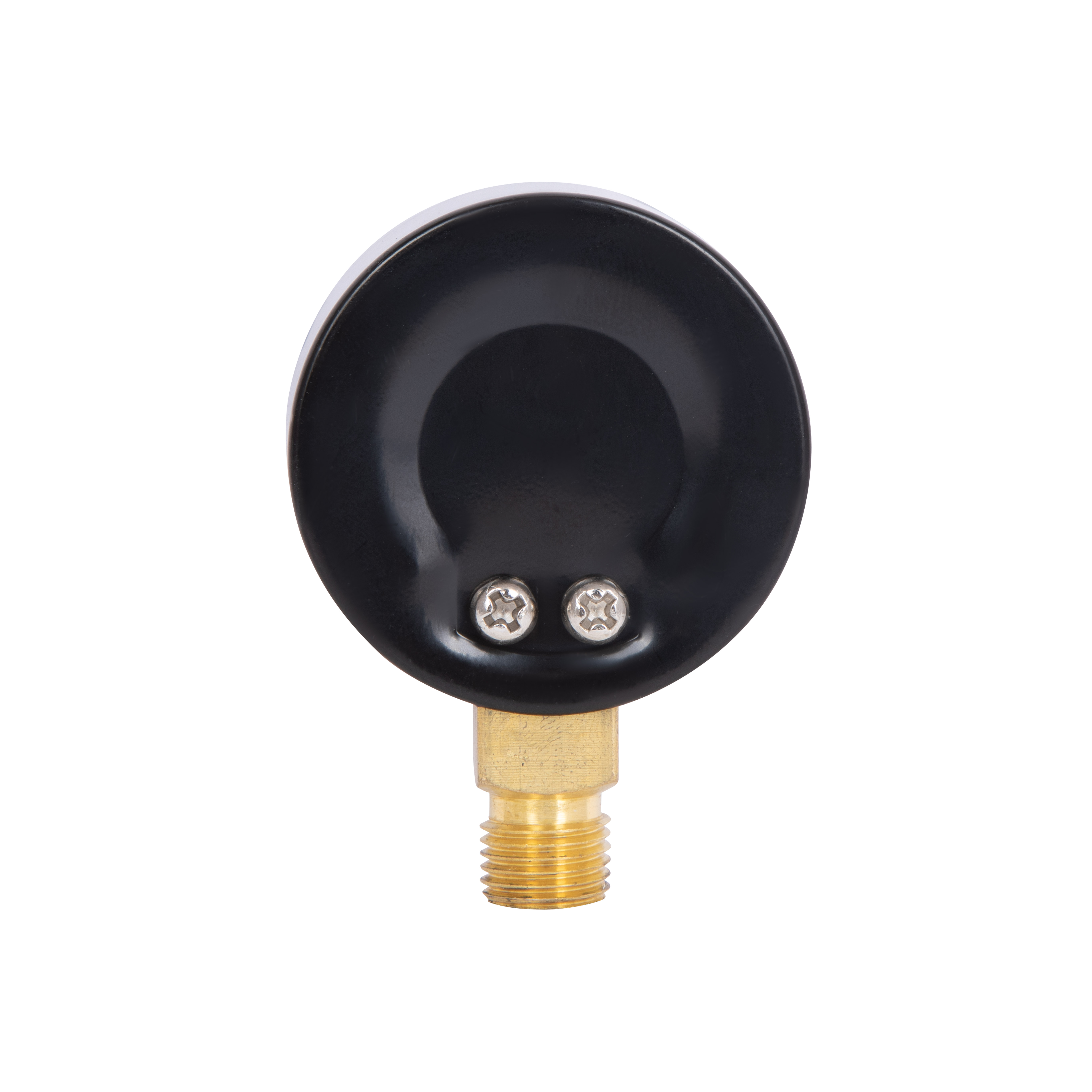 Манометр Thermo Alliance Standart 50 мм 1/4", нижнє підмикання SD1704B