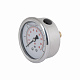 Манометр із гліцерином Thermo Alliancе Forte 6 бар, 1/4"З, заднє підключення TAF171G6B