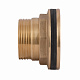 Врізка Thermo Alliance Standart 2" в бак SD40050