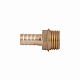 Штуцер Thermo Alliance Standart 12х1/2" ЗР SD4271512