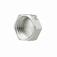 Заглушка Thermo Alliance Forte 1" ВР SF35225