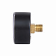 Манометр Thermo Alliance Standart 6 бар 1/4" , заднє підмикання SD1716B