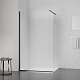 Душова перегородка Qtap Walk-In Standard BLM209.C8 90х200 см, скло Clear 8 мм, покриття CalcLess