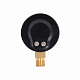Манометр Thermo Alliance Standart 50 мм 1/4", нижнє підмикання SD1706B