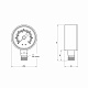 Манометр Thermo Alliance Standart 50 мм 1/4", нижнє підмикання SD1706B