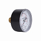 Манометр Thermo Alliance Standart 6 бар 1/4" , заднє підмикання SD1716B
