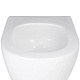 Комплект Grohe Set Унітаз ELLIPSE-0305-T3 + Інсталяція UA388400WG + панель 38732000 (388400WGELLIPS0305T3)