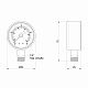 Манометр Thermo Alliance Standart 50 мм 1/4", нижнє підмикання SD1704B