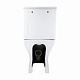Унітаз підлоговий Qtap Aries Rimless безобідковий з сидінням Soft-close WHITE QT03228302W