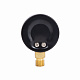 Манометр Thermo Alliance Standart 50 мм 1/4", нижнє підмикання SD1704B