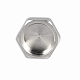 Заглушка Thermo Alliance Forte 1/2" ВР SF35215