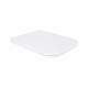 Сидіння для унітаза Qtap (Tern) з мікроліфтом Slim QT99HXU10W