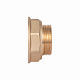 Перехідник Thermo Alliance Standart 2"х1 1/2" ВЗ SD4095040