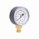 Манометр Thermo Alliance Standart 50 мм 1/4", нижнє підмикання SD1704B