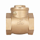 Зворотний клапан Thermo Alliance Standart 2" SD242W50