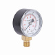 Манометр Thermo Alliance Standart 10 бар 1/4", нижнє підмикання SD17010B